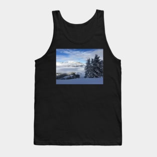 View from the top of a snowy mountain Tank Top